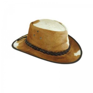Cowboy Hat