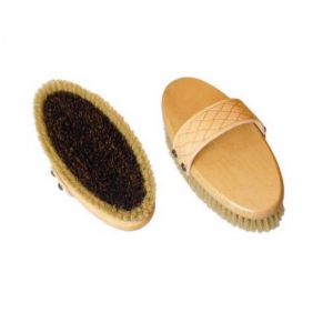 Horse Brush and Surcingle