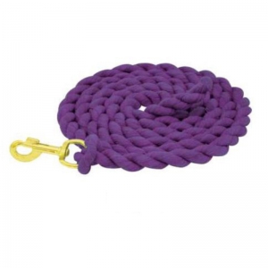 Webbing Horse Lead