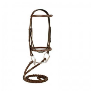 Halter and Bridle