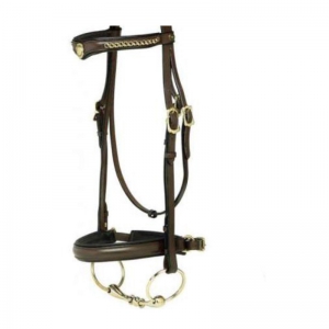 Halter and Bridle
