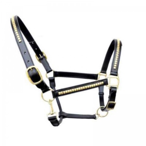 Halter and Bridle