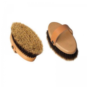 Horse Brush and Surcingle