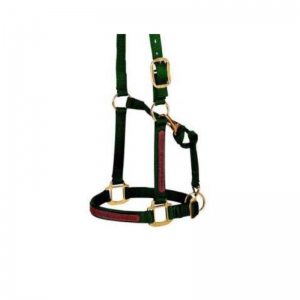 Halter and Browband