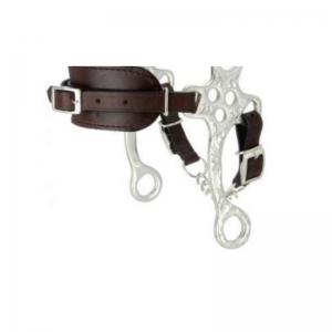 Hackamore Bit