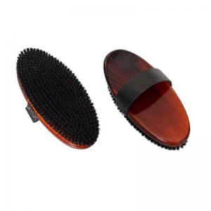 Horse Brush and Surcingle