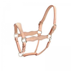 Halter and Browband