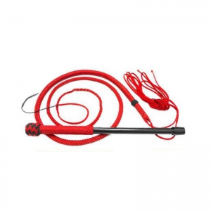 Leather Whip and Belt
