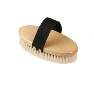 Horse Brush and Surcingle