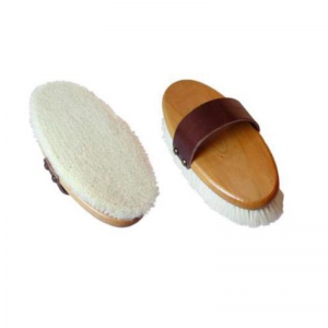 Horse Brush and Surcingle