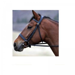 Halter and Bridle
