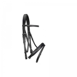Halter and Bridle