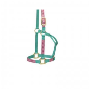 Halter and Browband
