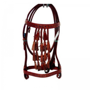 Halter and Bridle