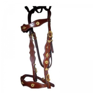 Halter and Bridle