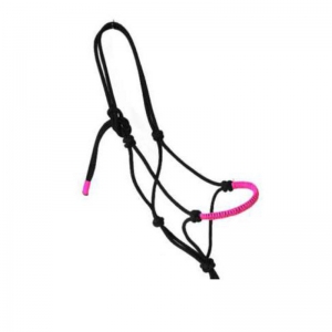 Halter and Bridle