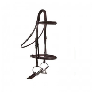 Halter and Bridle