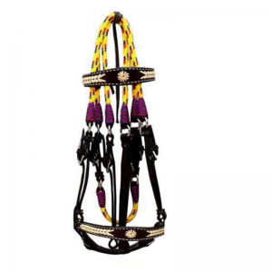 Halter and Bridle