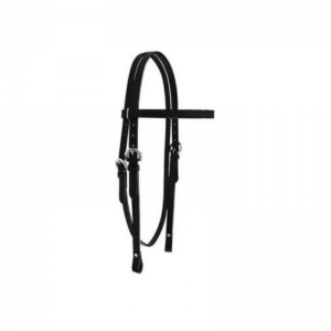Halter and Bridle