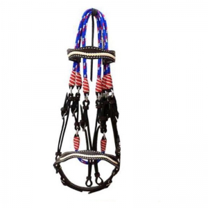 Halter and Bridle