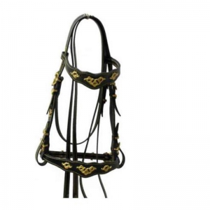 Halter and Bridle
