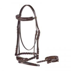 Halter and Bridle