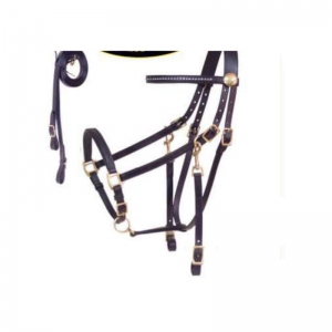Halter and Bridle