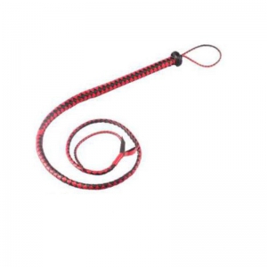 Leather Whip and Belt