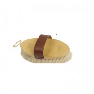 Horse Brush and Surcingle