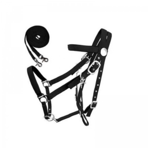 Halter and Bridle