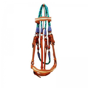 Halter and Bridle