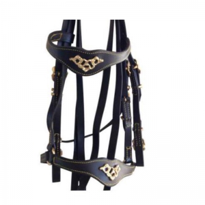 Halter and Bridle