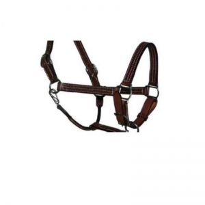 Halter and Bridle