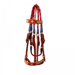 Halter and Bridle