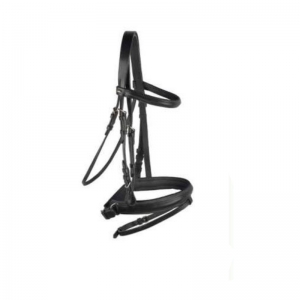 Halter and Bridle