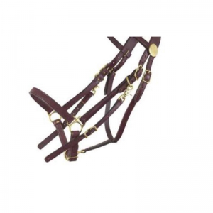Halter and Bridle