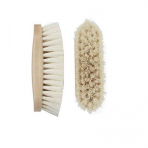 Horse Brush and Surcingle