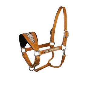 Halter and Browband