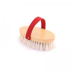 Horse Brush and Surcingle