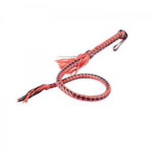 Leather Whip and Belt