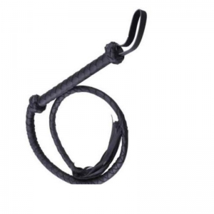 Leather Whip and Belt
