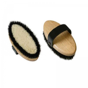 Horse Brush and Surcingle
