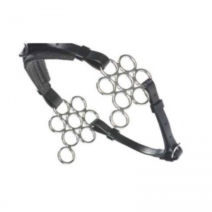 Hackamore Bit