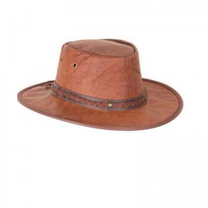 Cowboy Hat