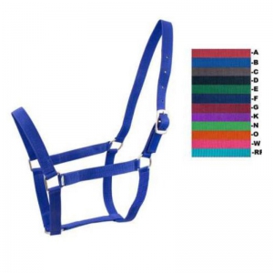 Halter and Bridle