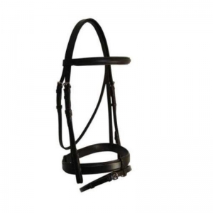 Halter and Bridle