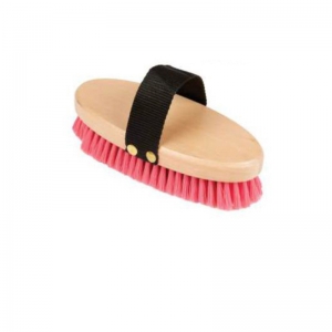Horse Brush and Surcingle