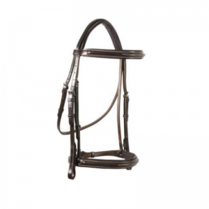 Halter and Bridle
