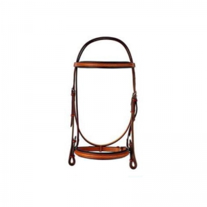 Halter and Bridle