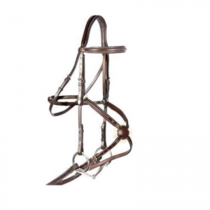 Halter and Bridle